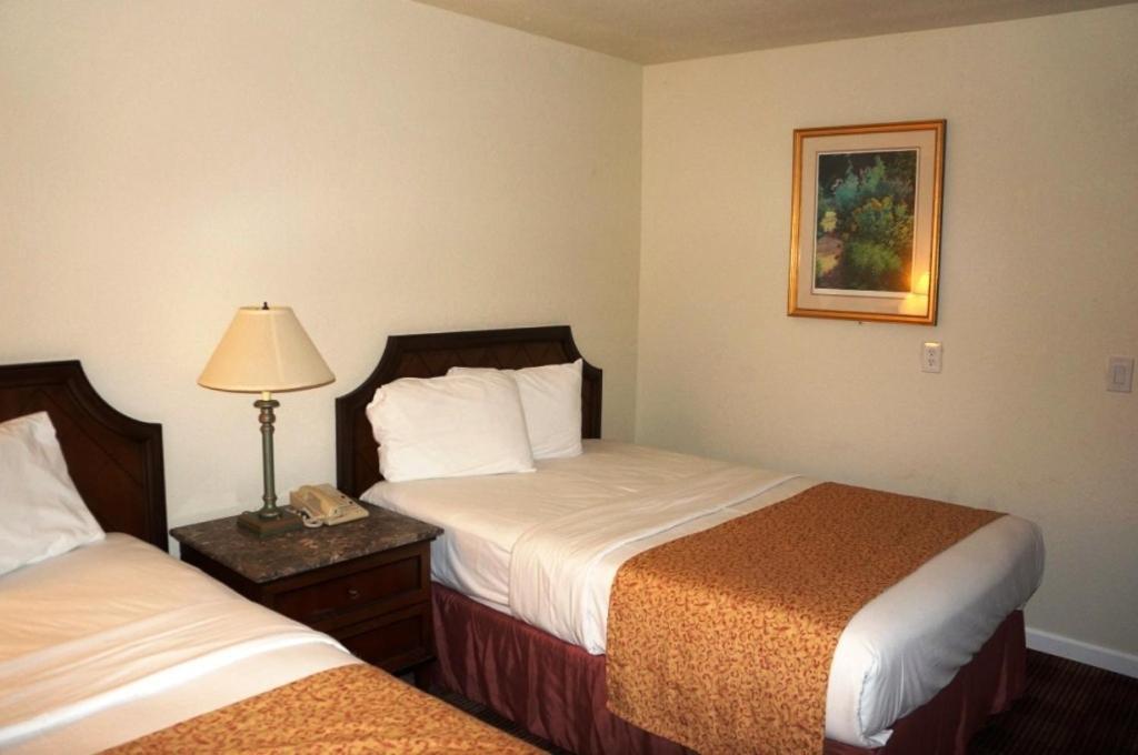 Waterford Inn Kültér fotó